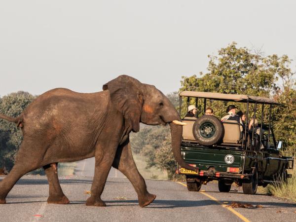 Chobe and Okavango Delta safari in Botswana