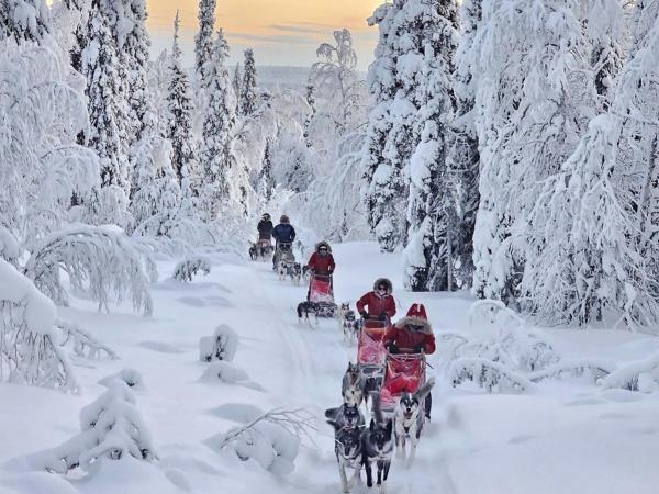 Treehouse Retreat in Swedish Lapland 