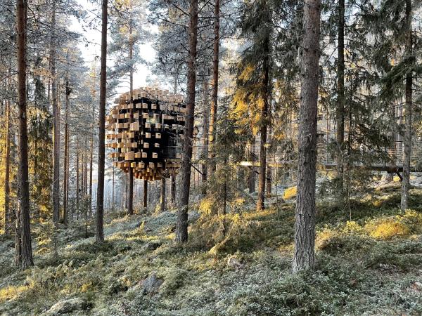 Treehouse Retreat in Swedish Lapland 
