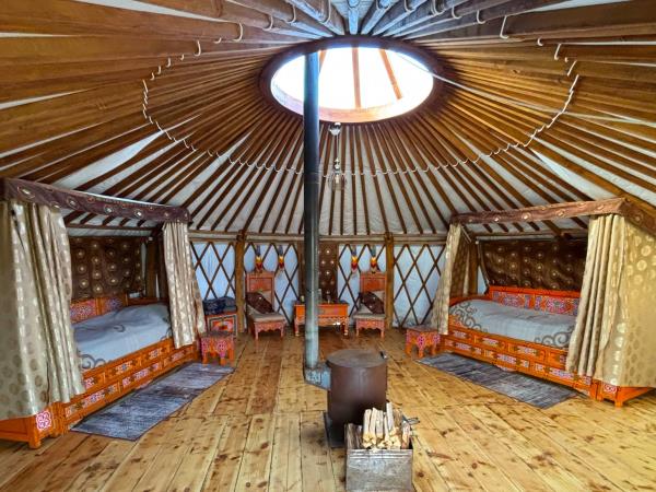 Yoga vacation in Mongolia 
