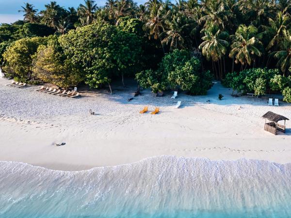 Maldives Manta ray snorkelling and Island hopping tour