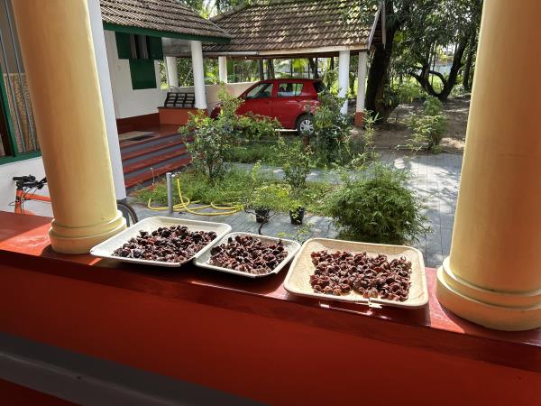 Cochin homestay accommodation
