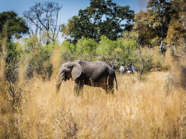 Zimbabwe and Botswana honeymoon
