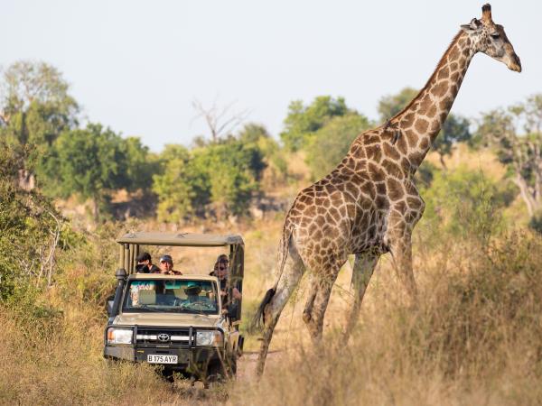 Zimbabwe and Botswana honeymoon
