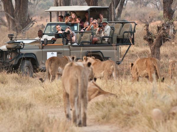 Botswana bush and beach honeymoon