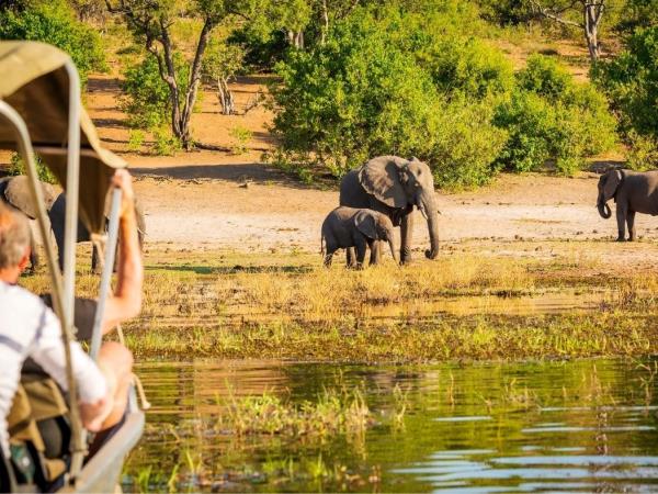 Okavango Delta safari vacation