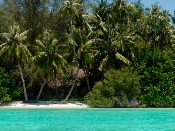 Off the beaten track Maldives island hopping vacation