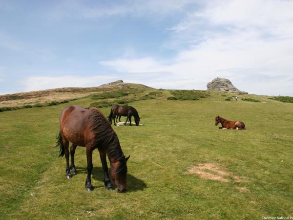 Cornwall & Devon luxury vacation