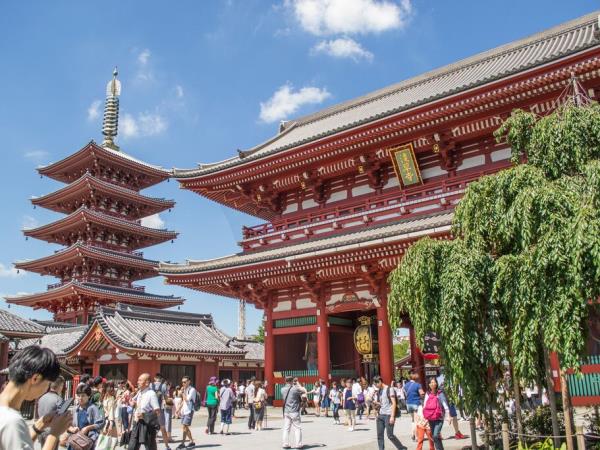 Japan small group vacation by bullet train