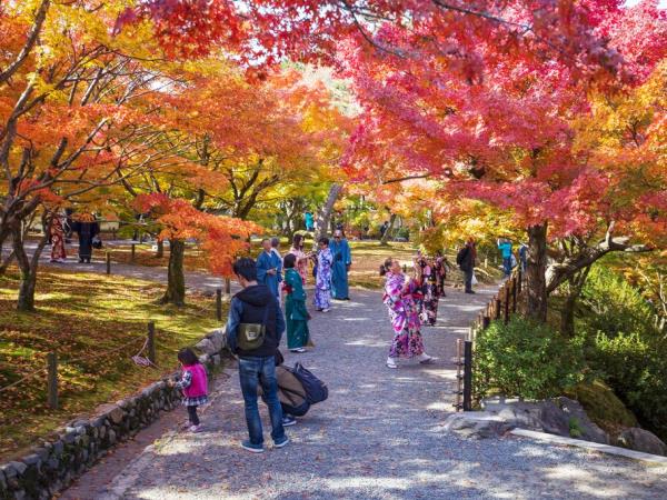 Japan small group vacation by bullet train