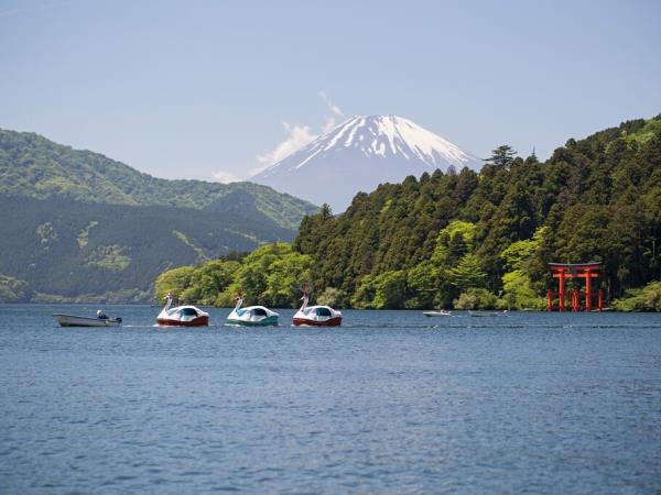 Japan small group vacation by bullet train