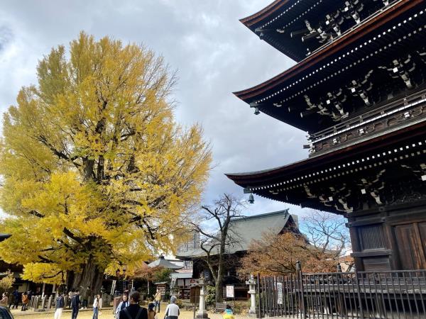 Japan small group vacation by bullet train