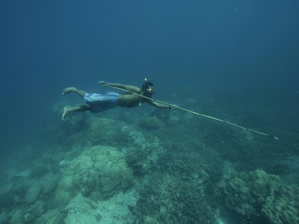 Koh Surin & Ban Talae 6 day tour, Thailand 