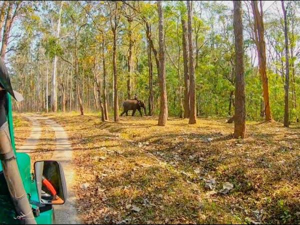 Northern Kerala vacation, tailor made