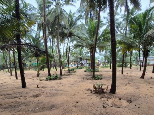 Northern Kerala vacation, tailor made