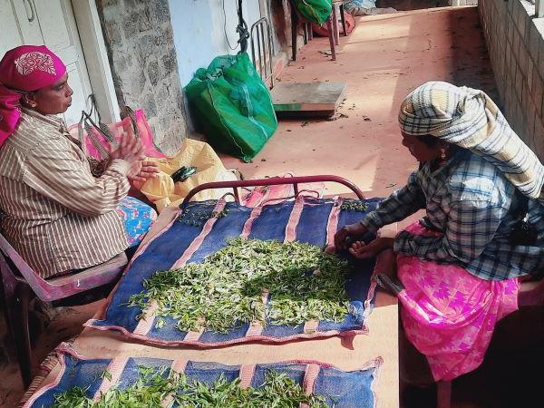 Northern Kerala vacation, tailor made