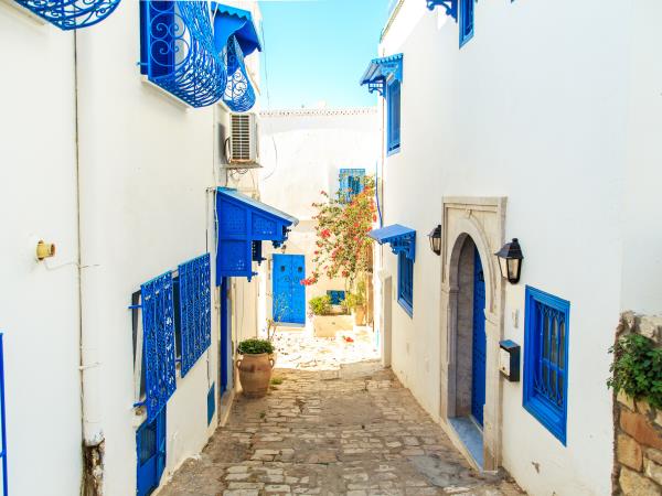 Tunisian coast vacation, small group