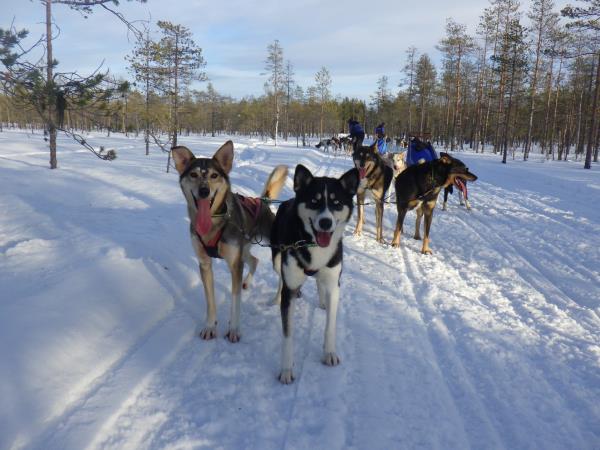 Luxury Lapland family holiday with Santa