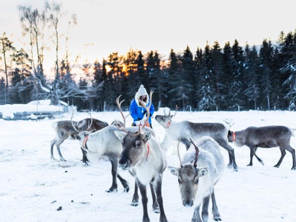 Luxury Lapland family holiday with Santa