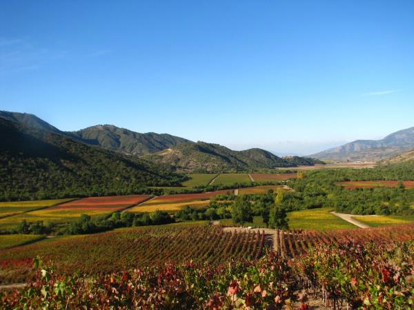 Luxury Chile vacation, 14 days