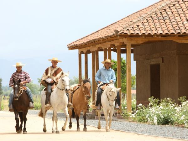 Chile multi activity vacation