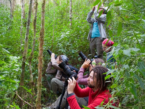 Volunteer with Lemurs in Madagascar