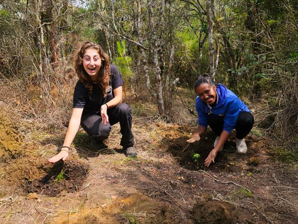 Volunteer with Lemurs in Madagascar