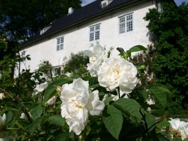 Norway self guided biking vacation, Hardangerfjord