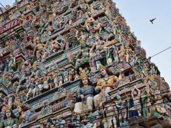 Tamil Nadu and Kerala tour, Backwaters & beyond