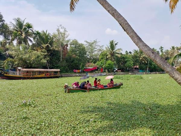 Tamil Nadu and Kerala tour, Backwaters & beyond