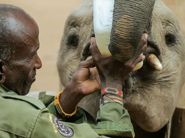 Kenya active safari, off the beaten path