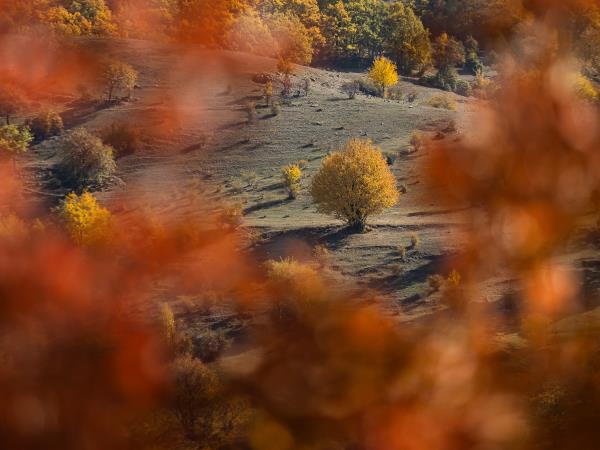 Autumn Photography Workshop in Bulgaria