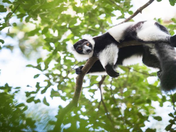 Madagascar family adventure holiday