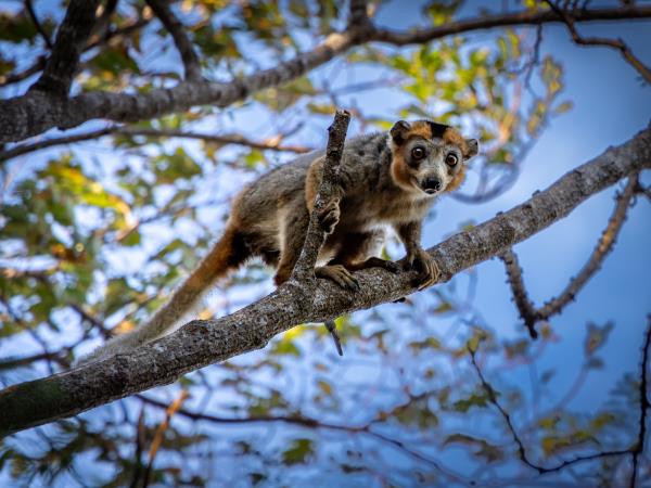 Madagascar North Coast adventure vacation