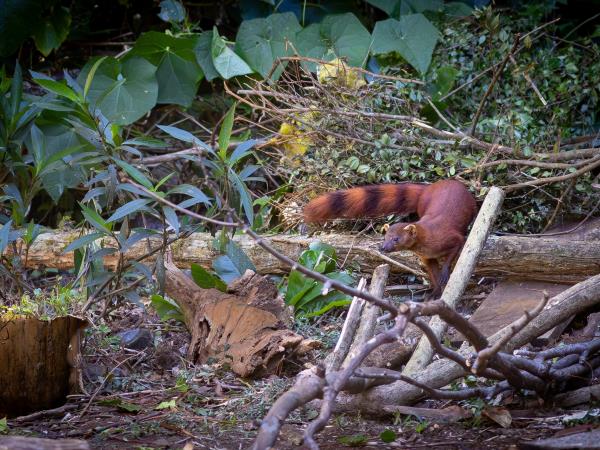 Madagascar north coast nature vacation