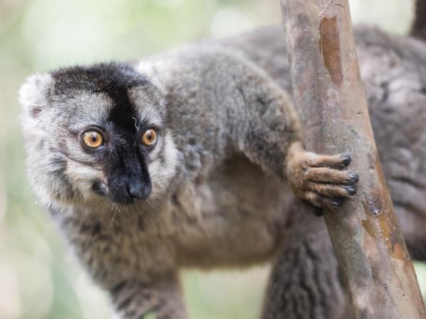 Madagascar north coast nature vacation