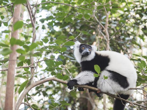 Madagascar north coast nature vacation
