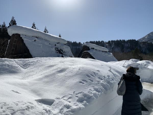 Japan winter highlights tour, Sapporo snow festival