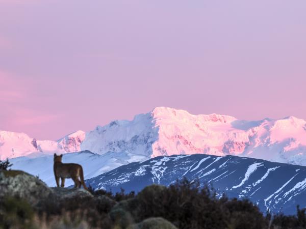 Luxury Patagonia vacation, tailor made