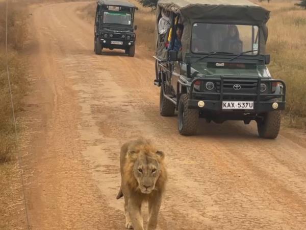 Kenya active safari, off the beaten path