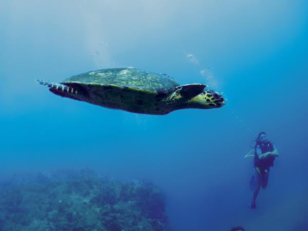 Luxury honeymoon in Madagascar