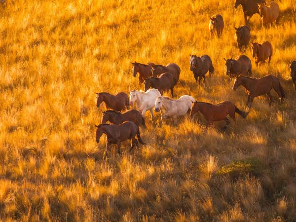 Luxury Argentina vacation, tailormade
