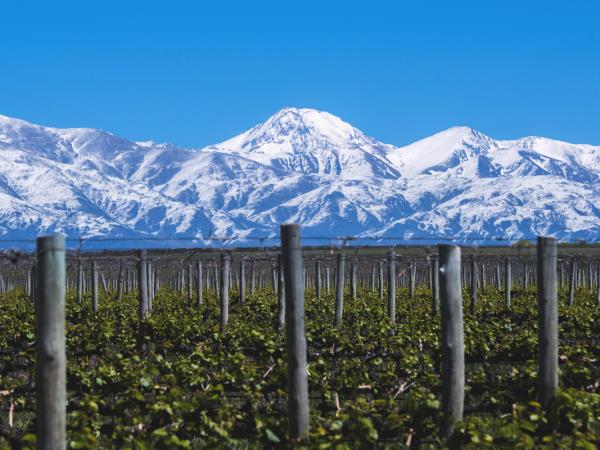 Luxury Argentina vacation, tailormade
