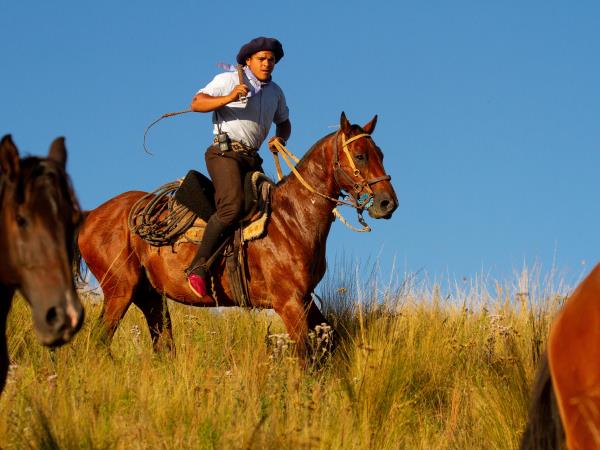 Luxury Argentina vacation, tailormade