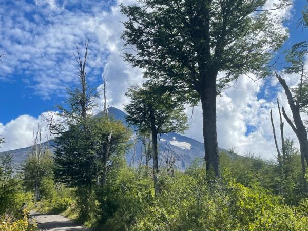 Argentine Patagonia hiking and nature vacation