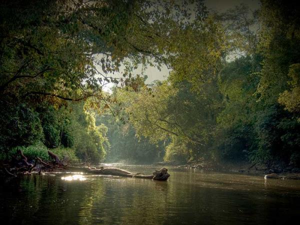 Wild Argentina vacation, tailor made