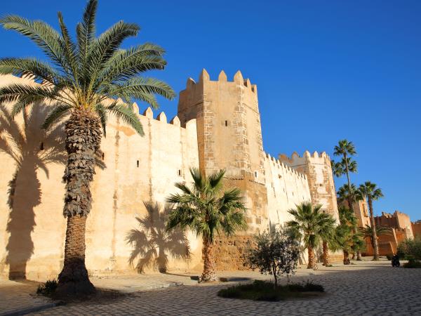 Tunisia solar eclipse 2027 tour