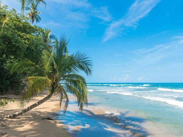 Costa Rica on a shoestring, self drive vacation