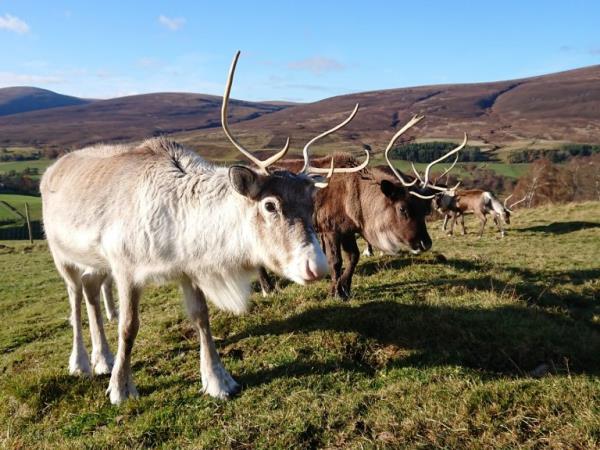 Scottish Highlands vacation for visually impaired travellers