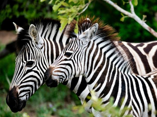Lesotho and Eswatini vacation, Southern Africa